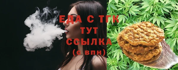 ECSTASY Бородино