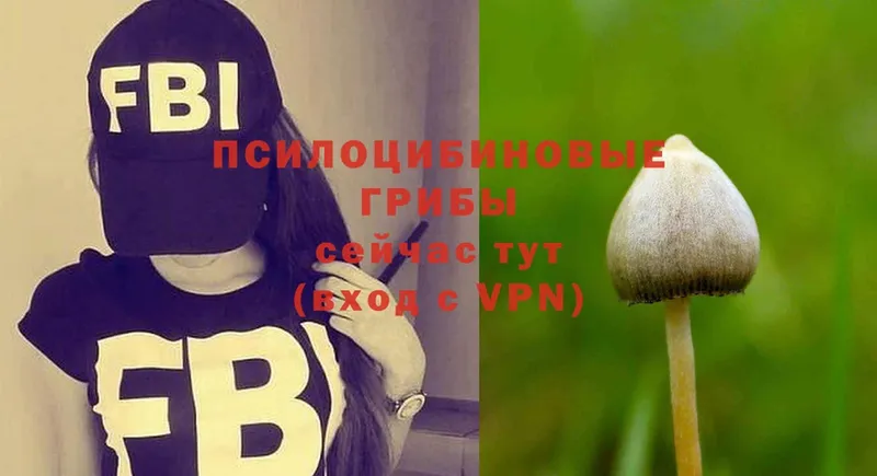 shop какой сайт  Бахчисарай  Галлюциногенные грибы Psilocybe 